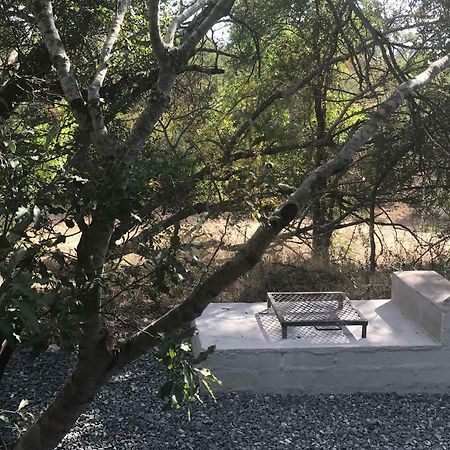 Leadwood Lodge Hoedspruit Kültér fotó