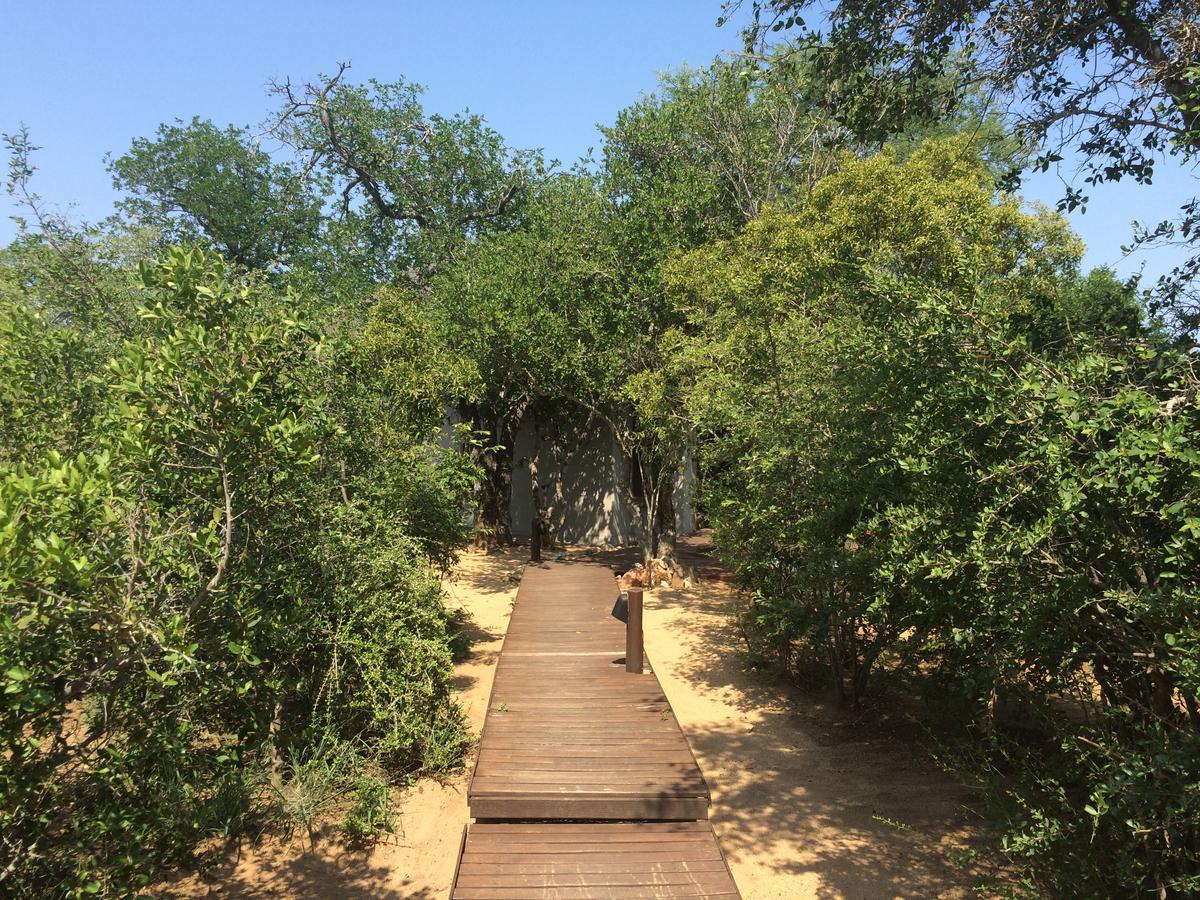 Leadwood Lodge Hoedspruit Kültér fotó