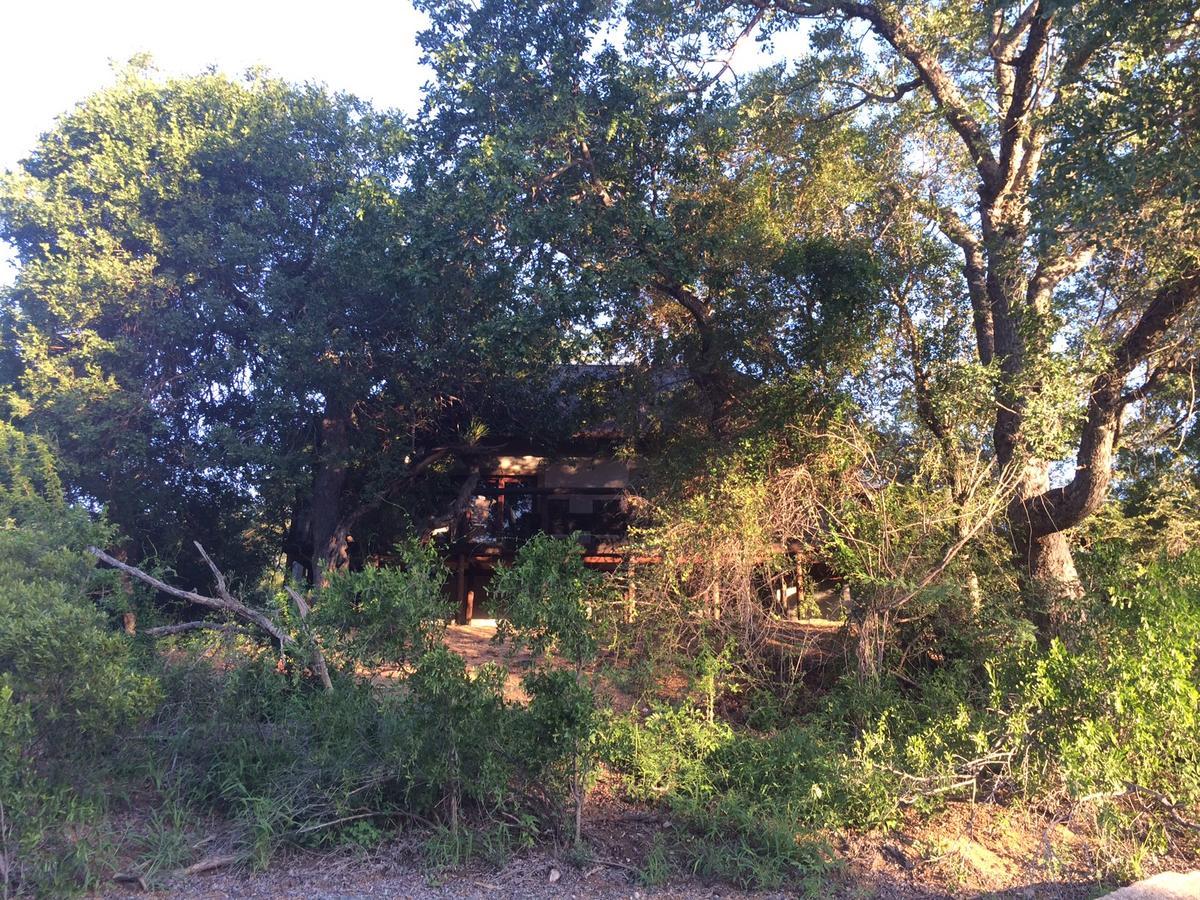 Leadwood Lodge Hoedspruit Kültér fotó