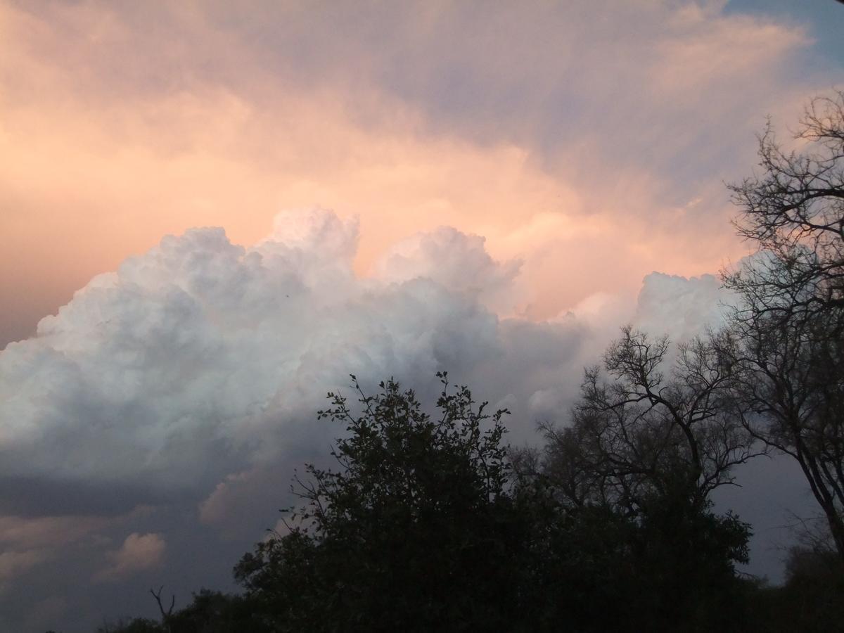 Leadwood Lodge Hoedspruit Kültér fotó