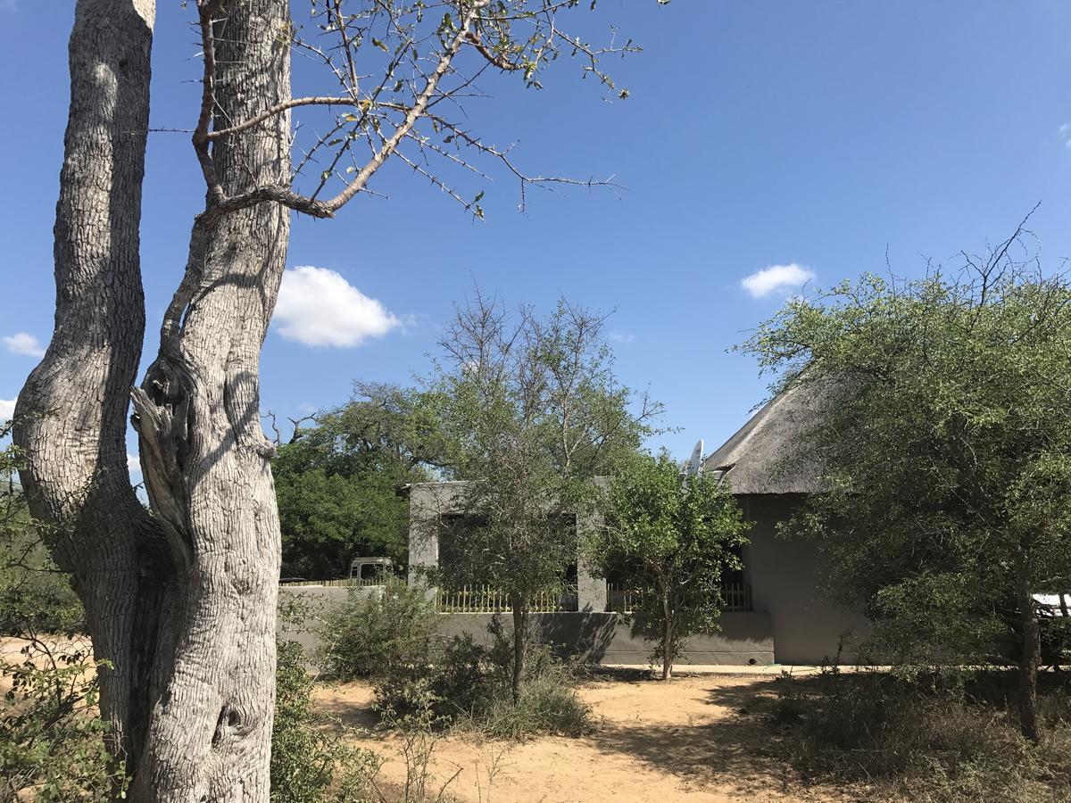 Leadwood Lodge Hoedspruit Kültér fotó