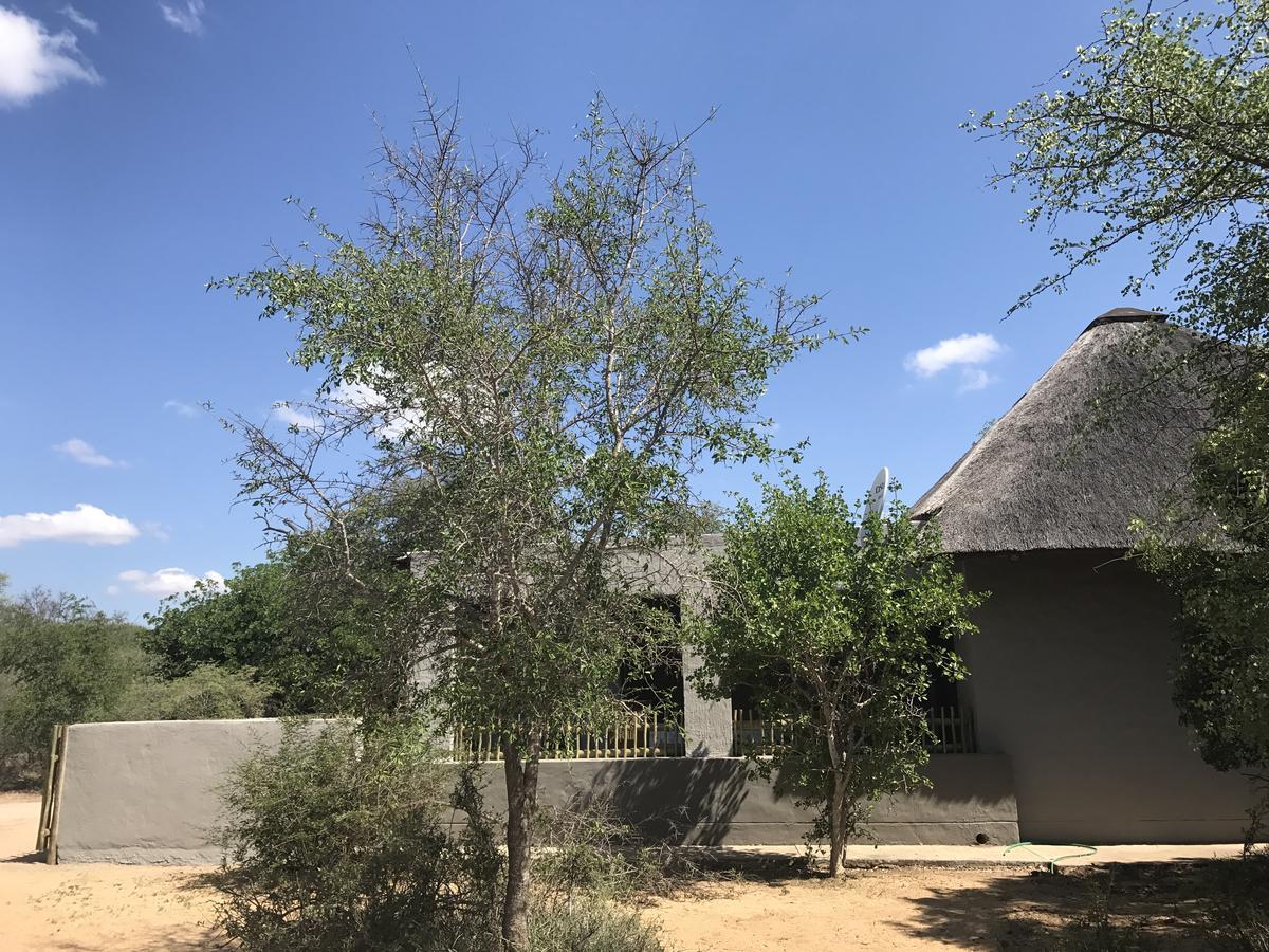 Leadwood Lodge Hoedspruit Kültér fotó